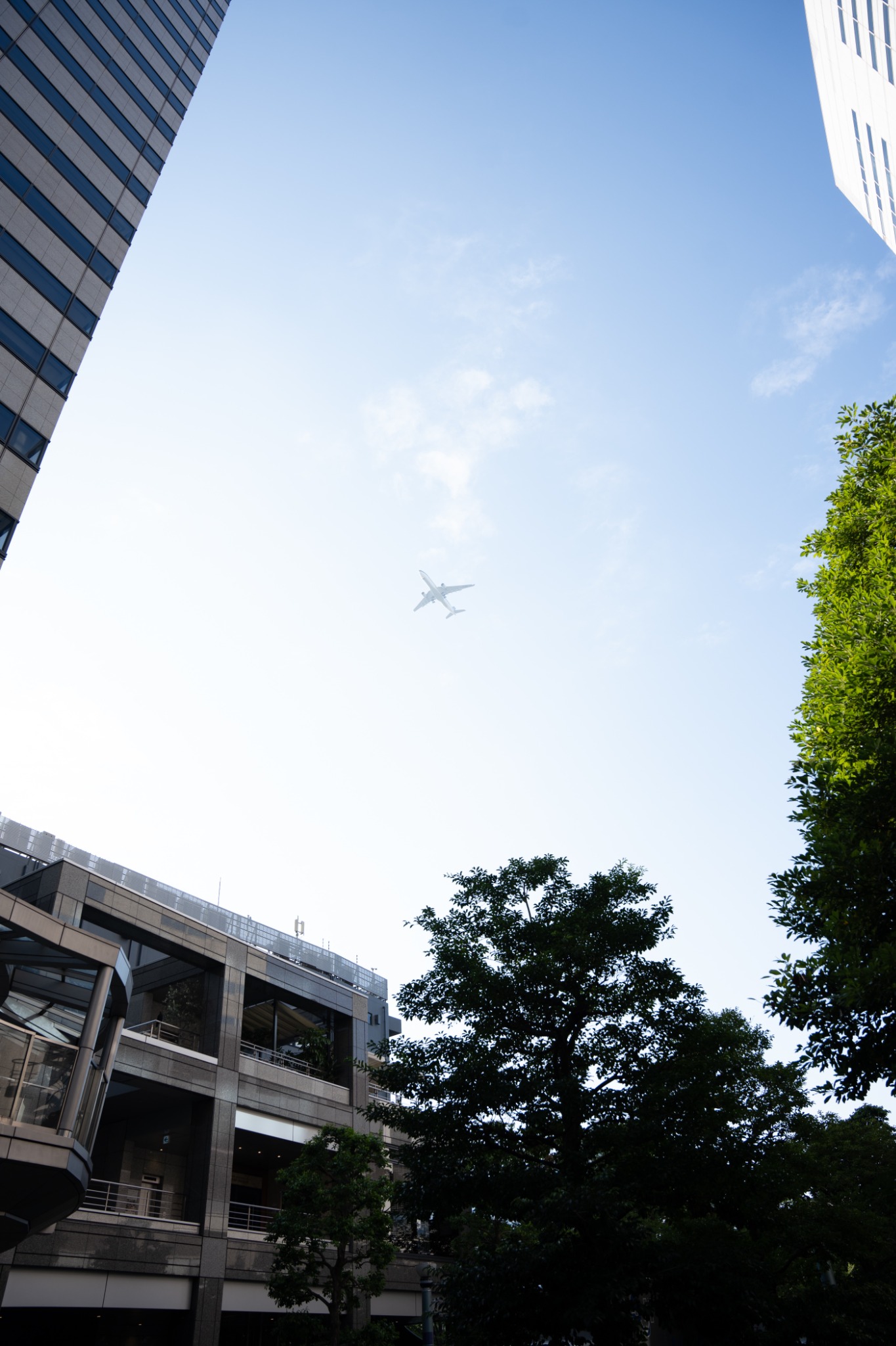 ビルの間に広がる青空を進む飛行機